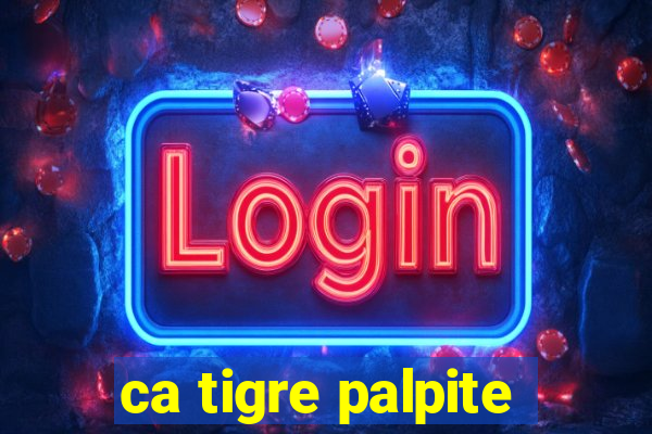 ca tigre palpite